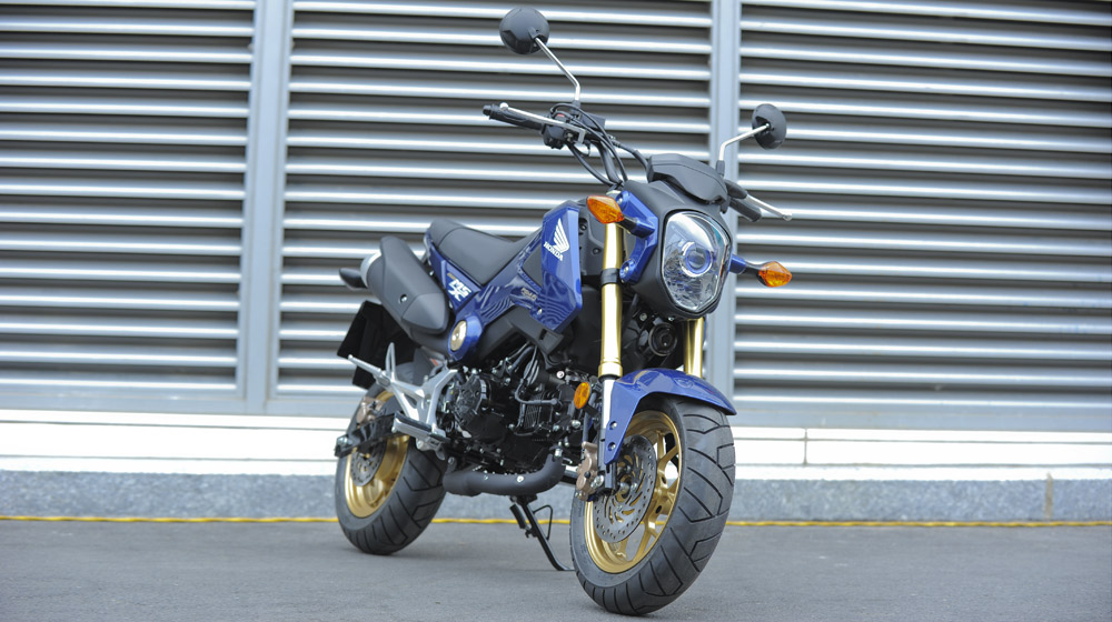 Honda-MSX125%20(13).jpg