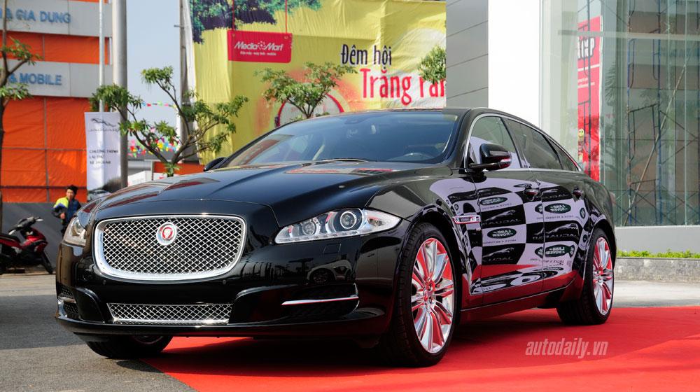 jaguar%20(2).jpg