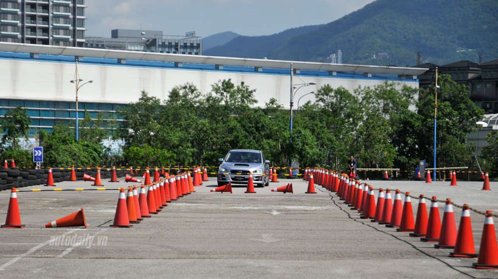 Lai-thu-Levorg-(5).jpg