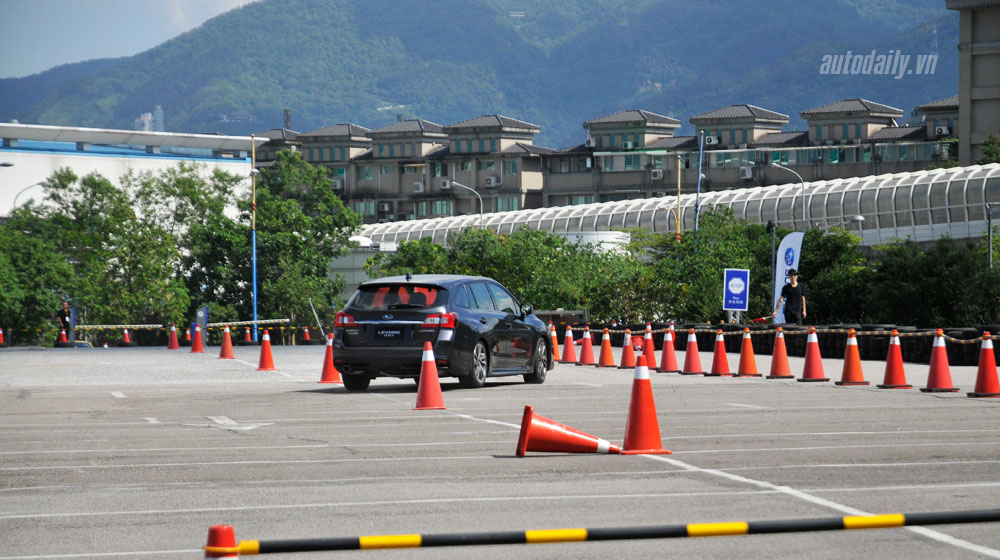 Lai-thu-Levorg-(13).jpg