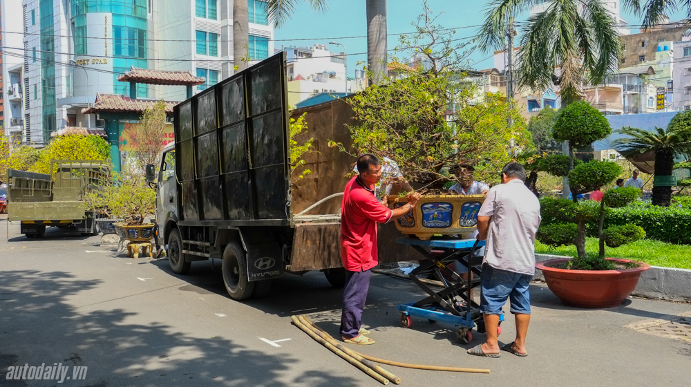 Phong_su_anh_Tet_2016%20(11).jpg