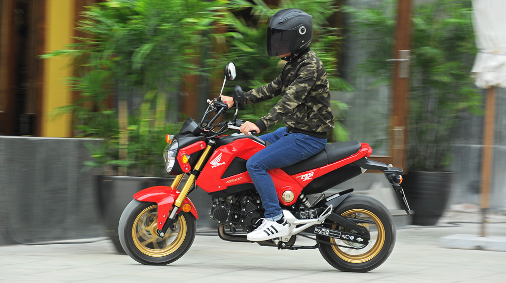 Honda Msx 125 2014 Trắng Đen Việt Nam Giá Rẻ Nhất Tháng 052023